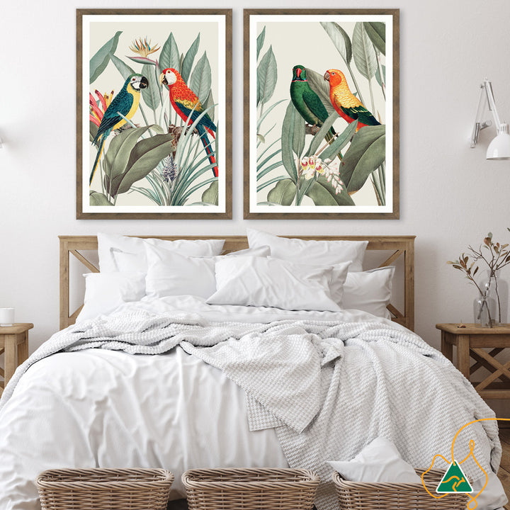 COLOURFUL MACAWS IV - Framed Print