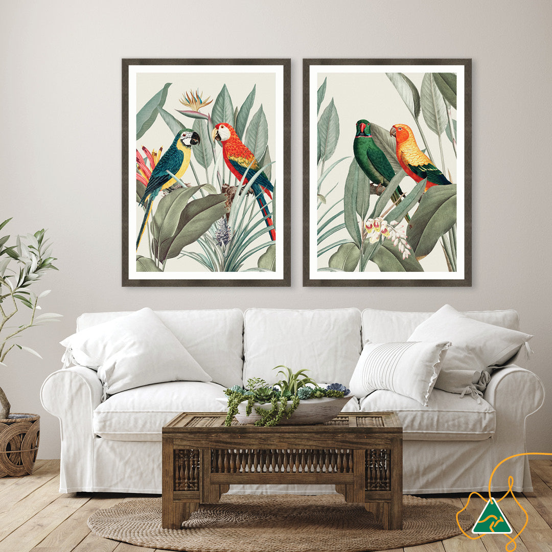 COLOURFUL MACAWS IV - Framed Print