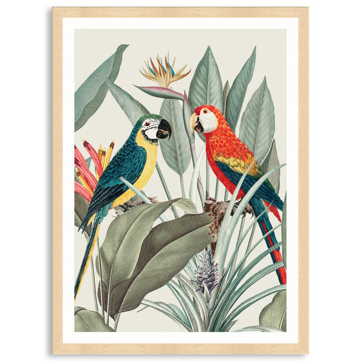 COLOURFUL MACAWS IV - Framed Print