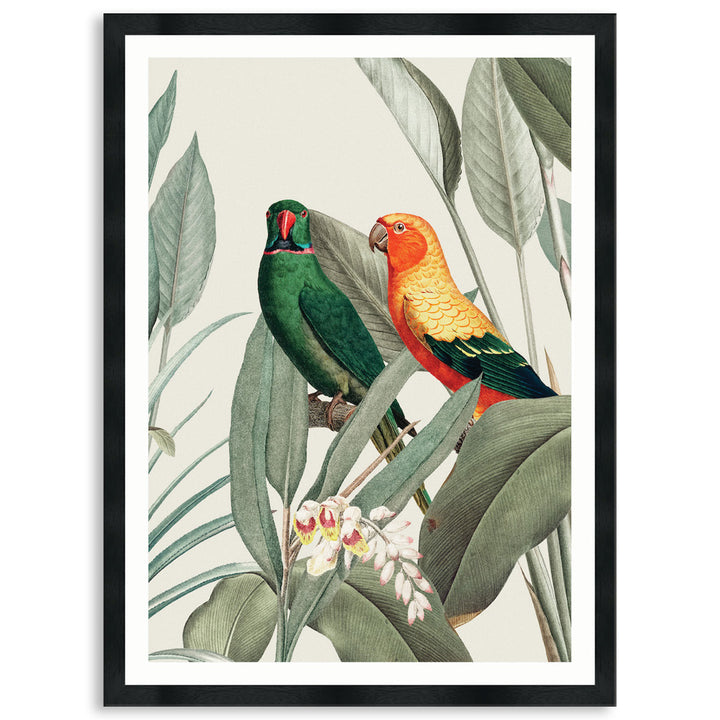 COLOURFUL MACAWS V - Framed Print