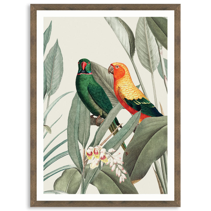 COLOURFUL MACAWS V - Framed Print