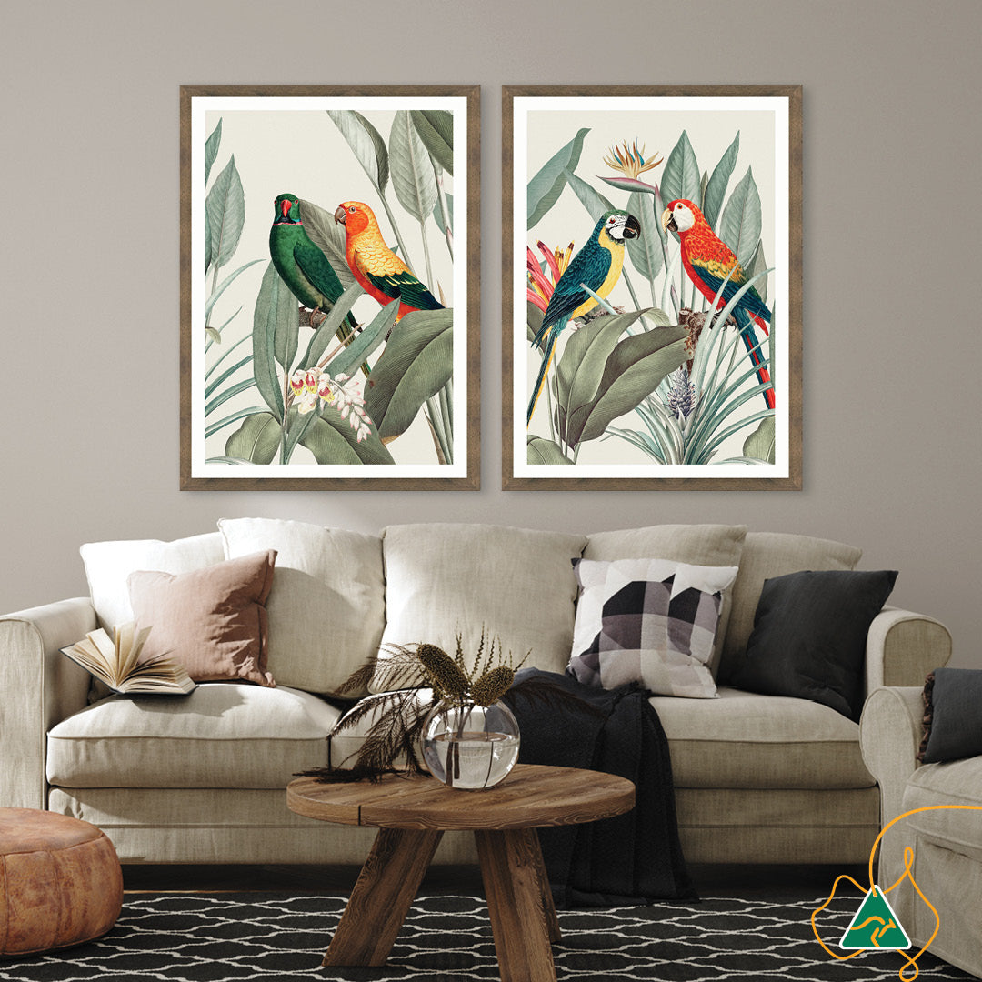 COLOURFUL MACAWS V - Framed Print