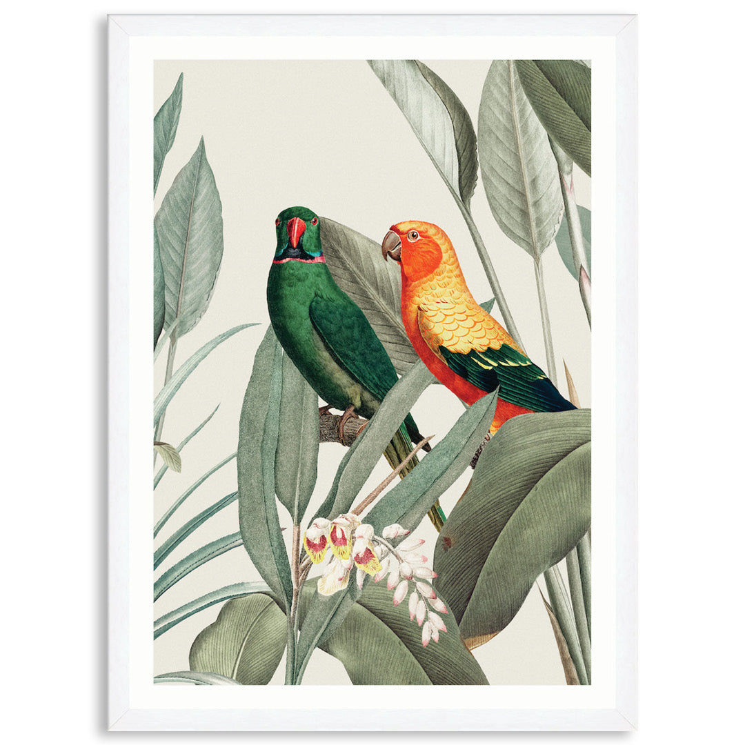 COLOURFUL MACAWS V - Framed Print