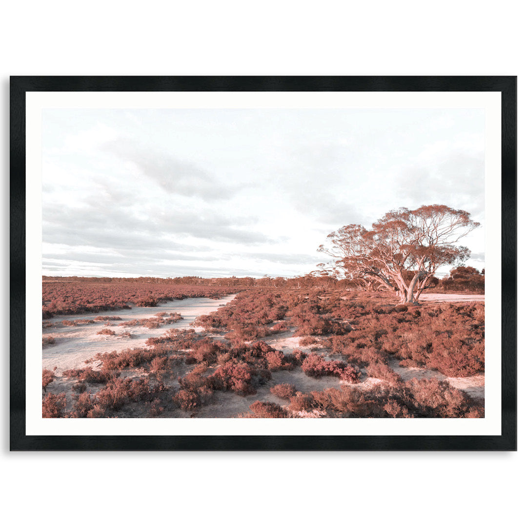 DESERT SUNSET I - Framed Print