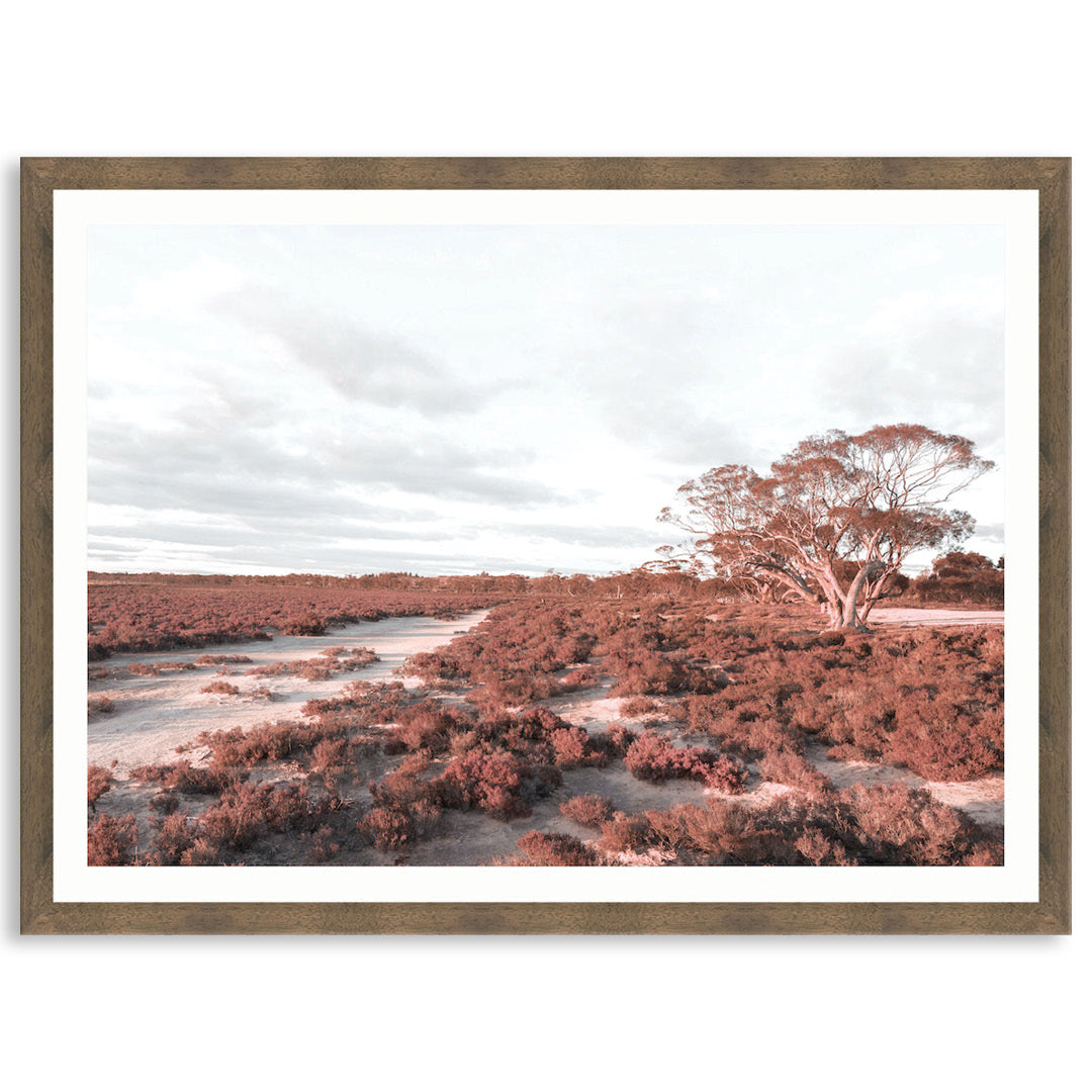 DESERT SUNSET I - Framed Print