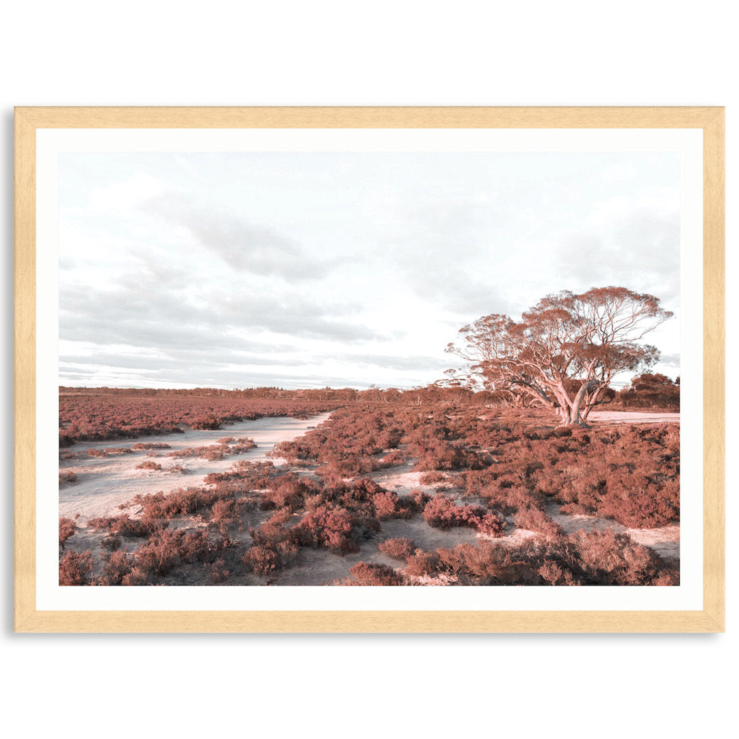 DESERT SUNSET I - Framed Print