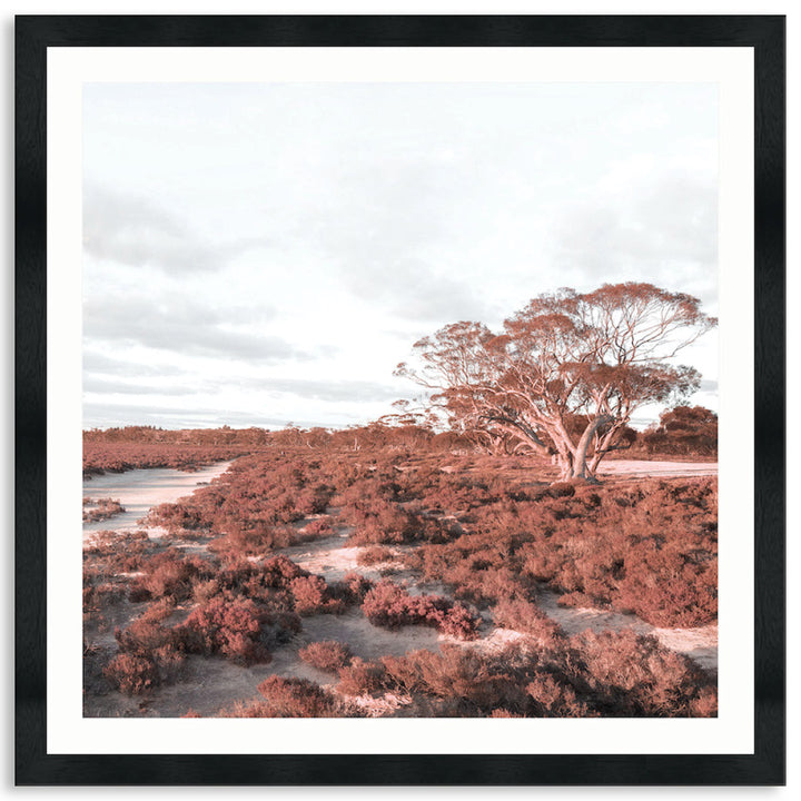 DESERT SUNSET II - Framed Print