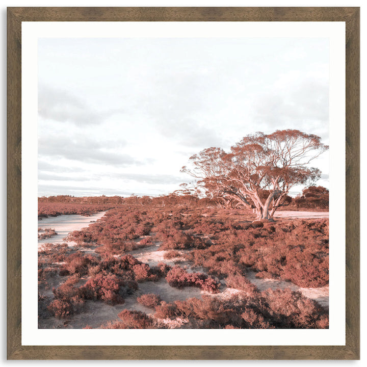 DESERT SUNSET II - Framed Print