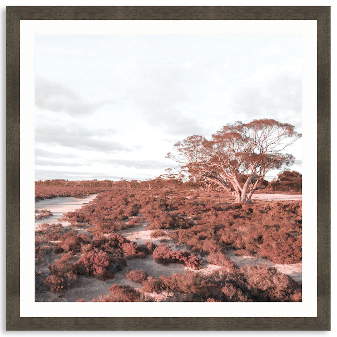 DESERT SUNSET II - Framed Print