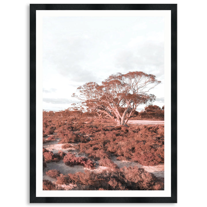 DESERT SUNSET III - Framed Print