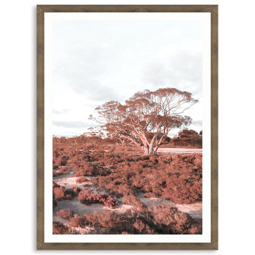 DESERT SUNSET III - Framed Print