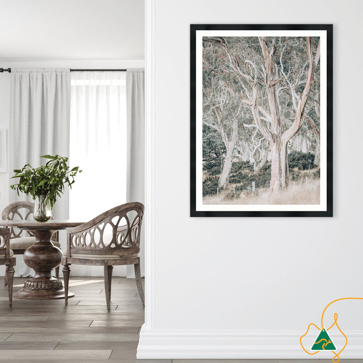 GUM TREES III - Framed Print