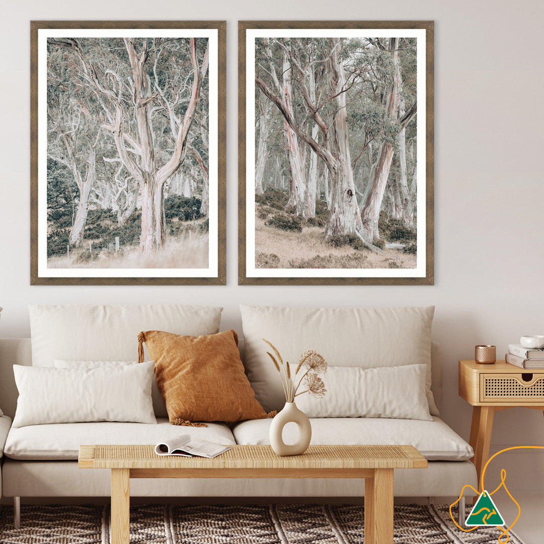 GUM TREES III - Framed Print