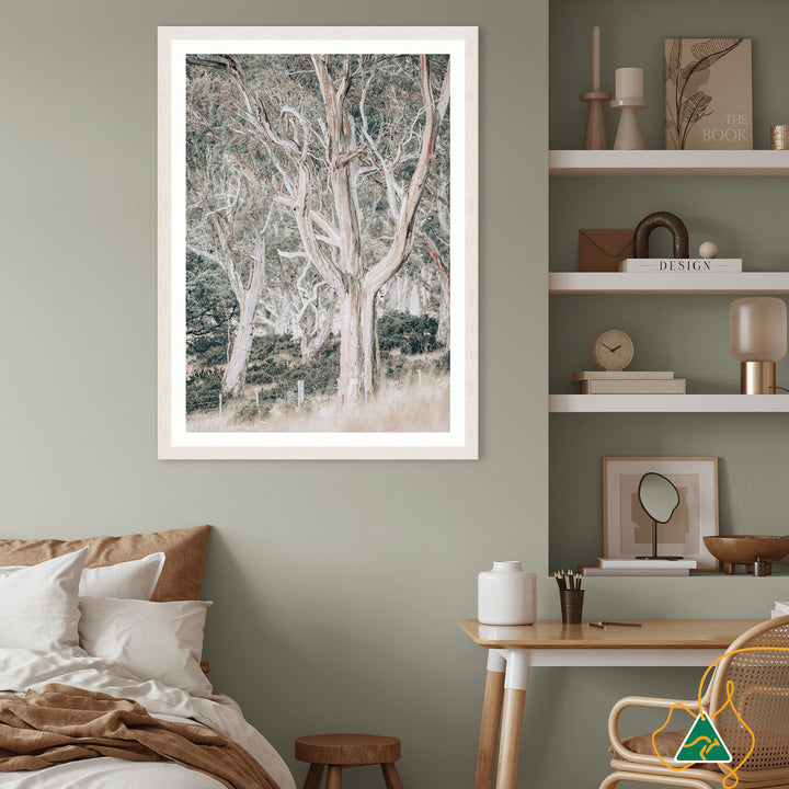 GUM TREES III - Framed Print