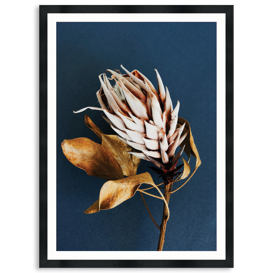 LUXE FLORAL I - Framed Print