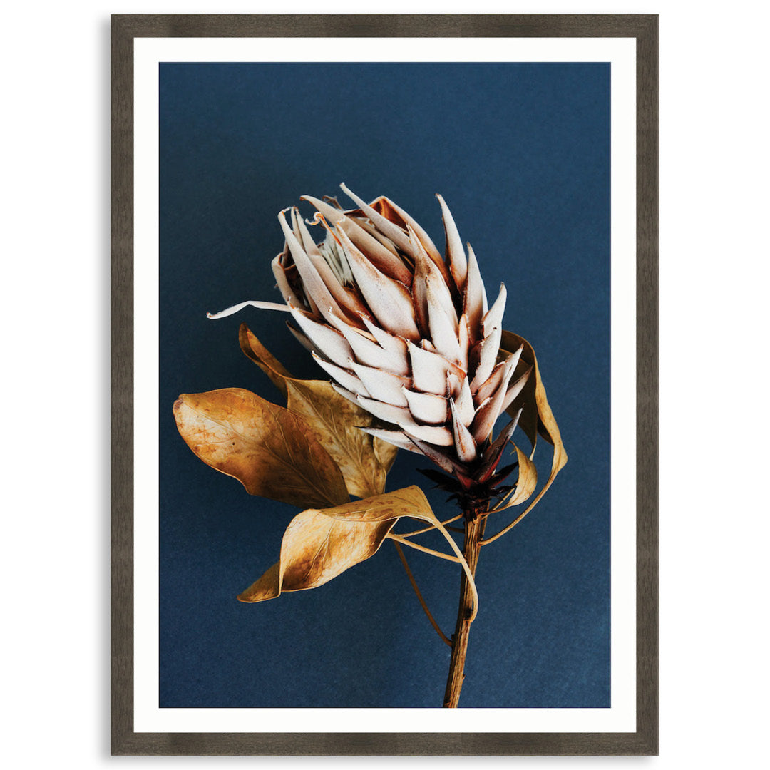 LUXE FLORAL I - Framed Print