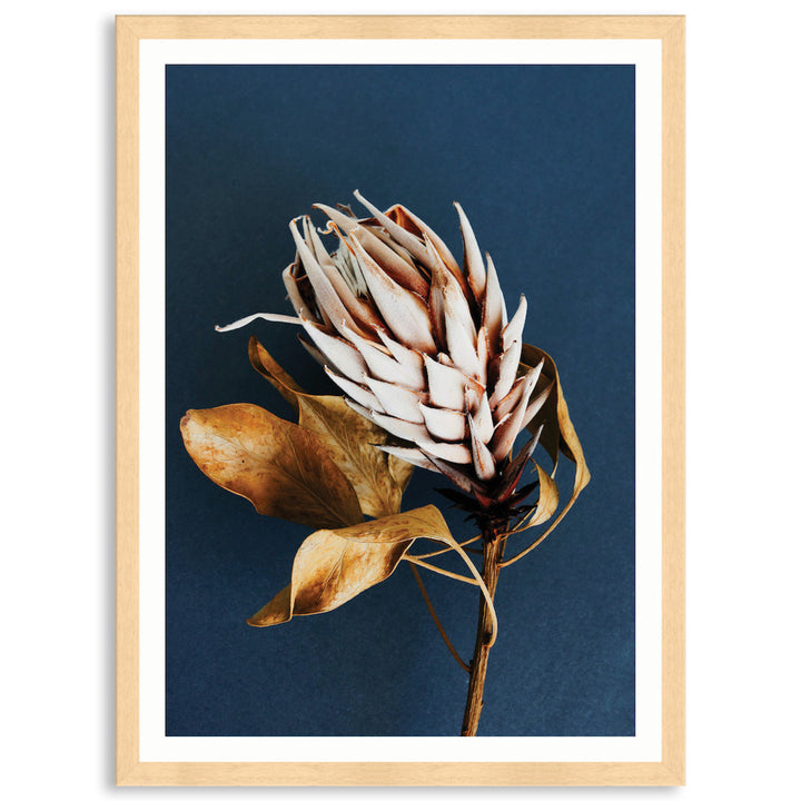 LUXE FLORAL I - Framed Print