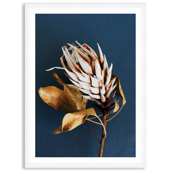 LUXE FLORAL I - Framed Print