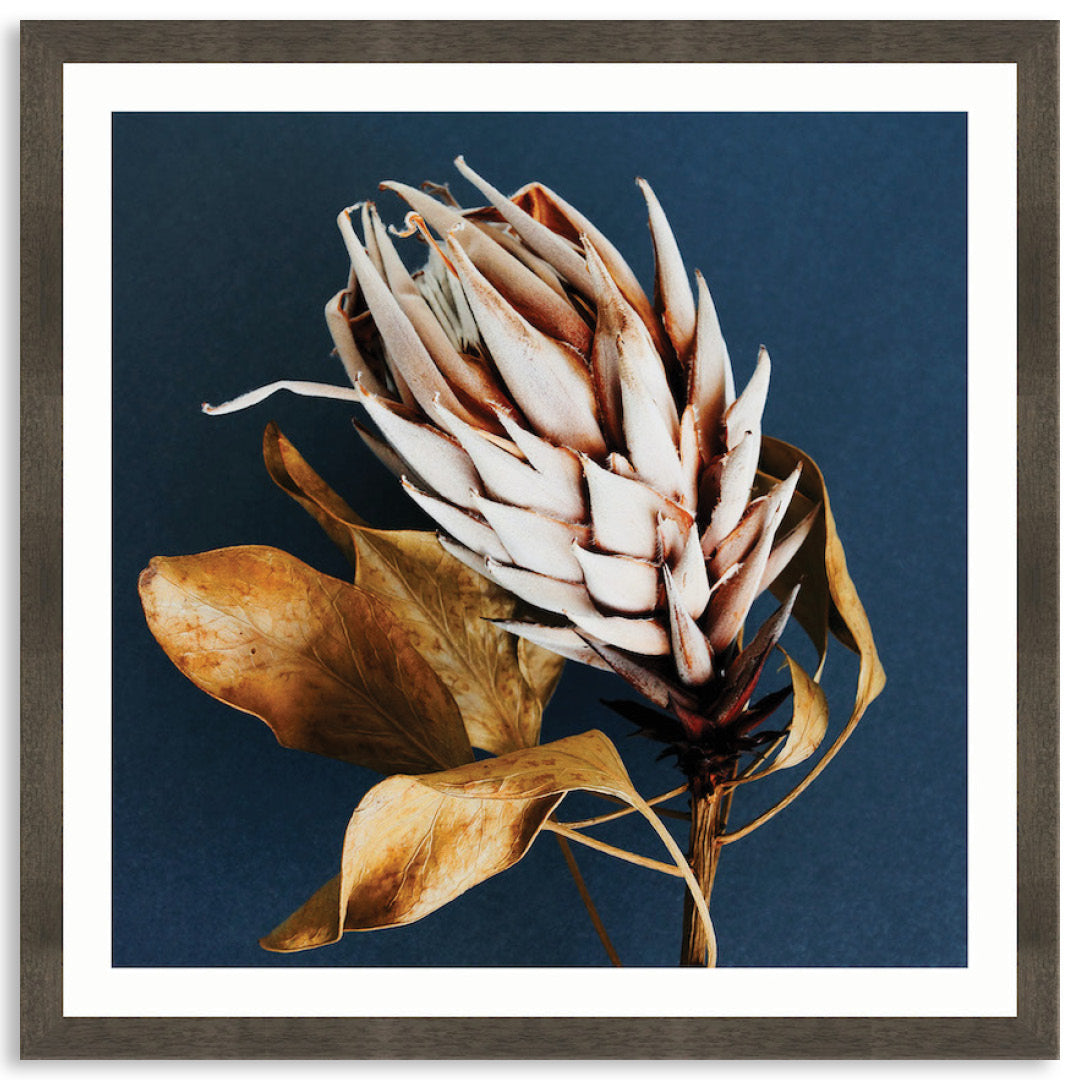 LUXE FLORAL II - Framed Print