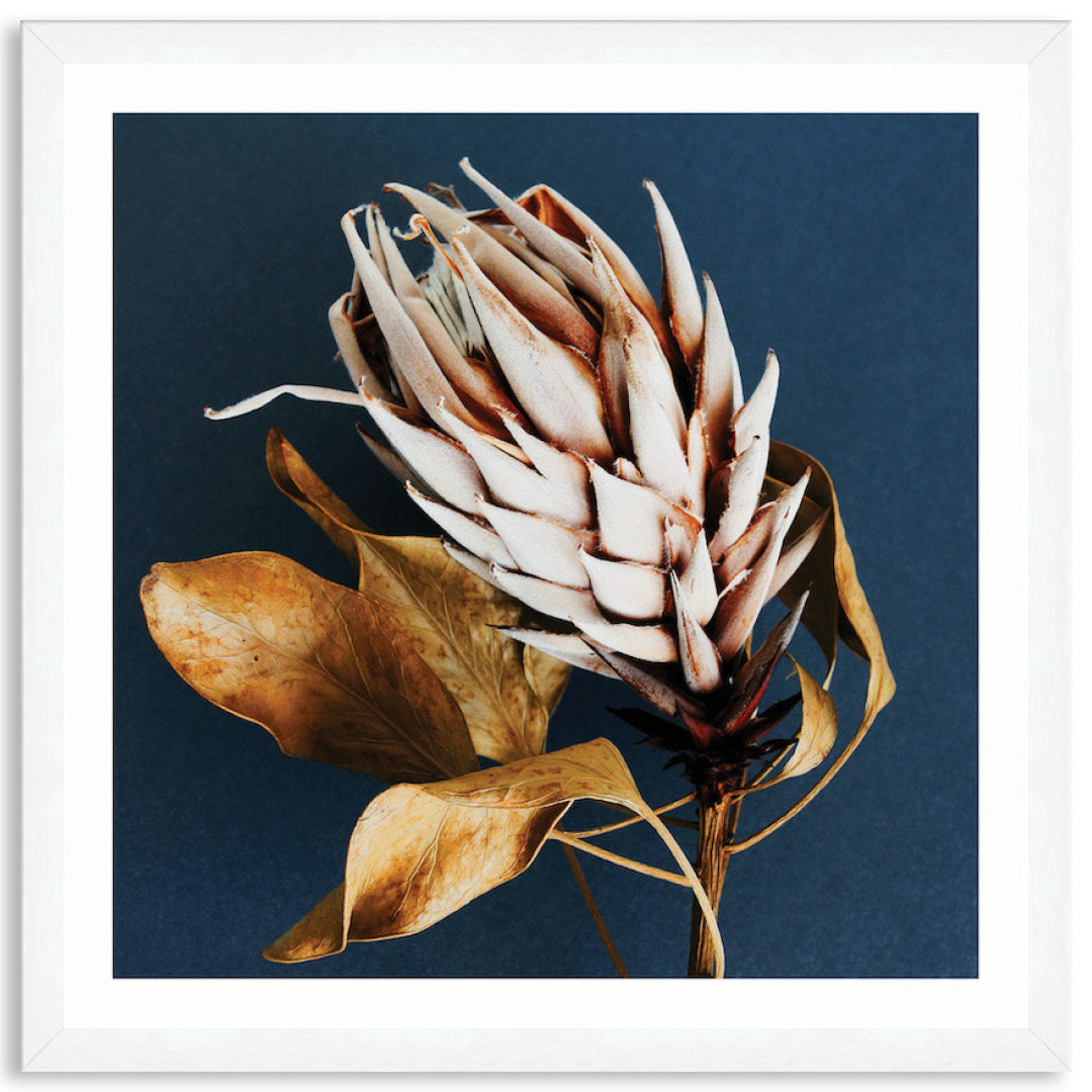 LUXE FLORAL II - Framed Print