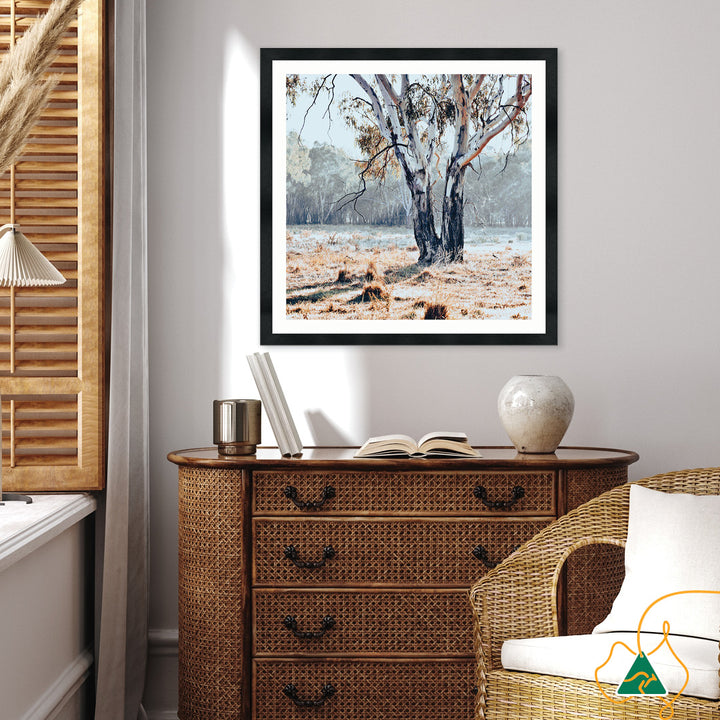 RIVER GUM II - Framed Print