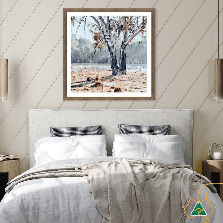 RIVER GUM II - Framed Print