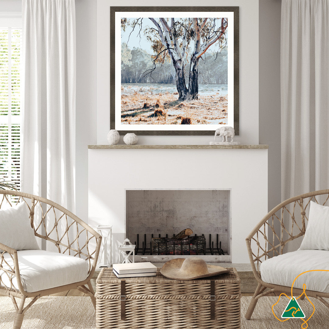 RIVER GUM II - Framed Print