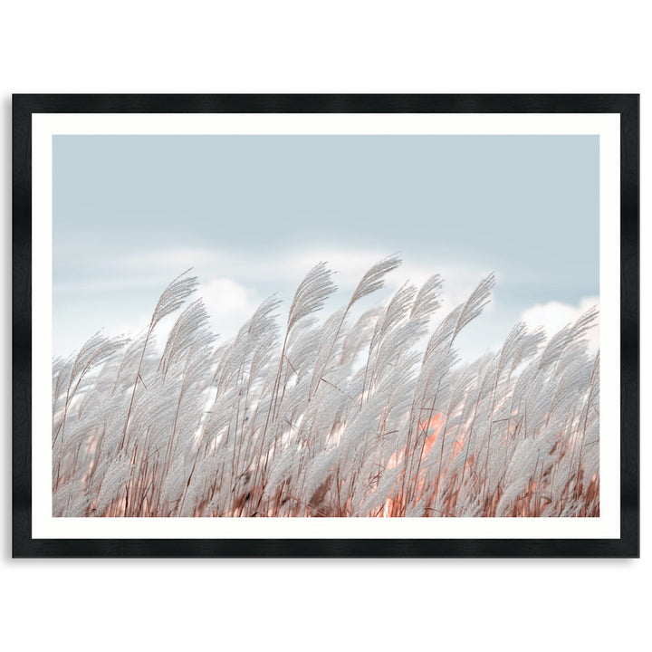 SILVER GRASS I - Framed Print