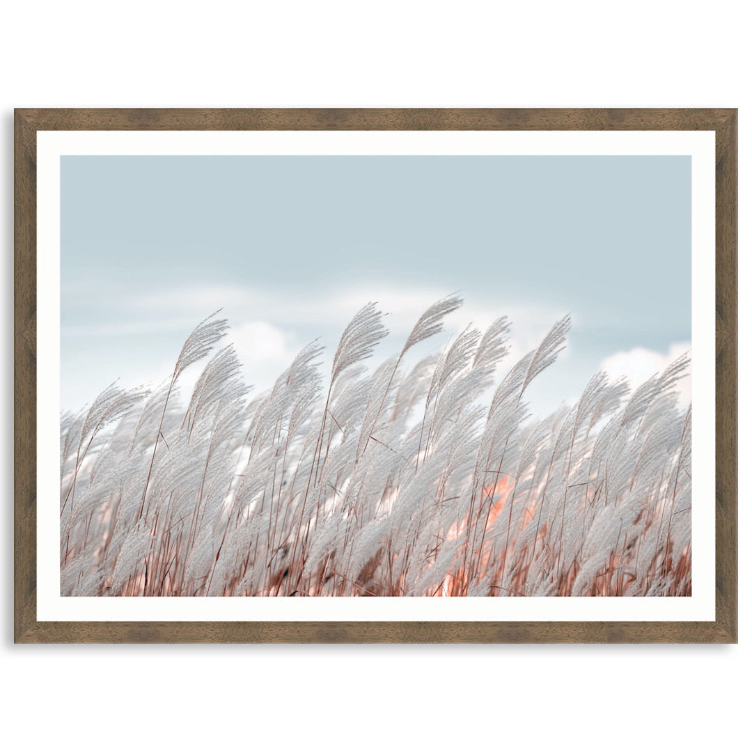 SILVER GRASS I - Framed Print