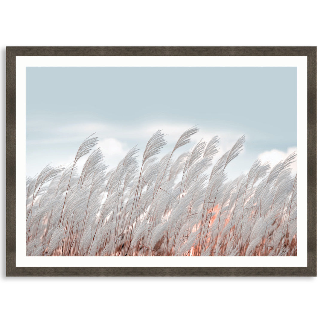 SILVER GRASS I - Framed Print