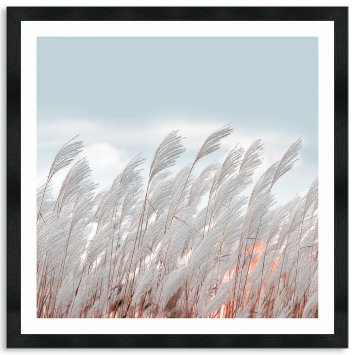 SILVER GRASS II - Framed Print