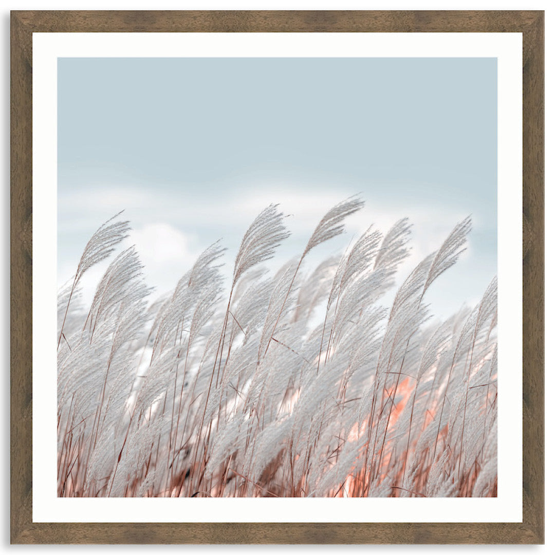 SILVER GRASS II - Framed Print