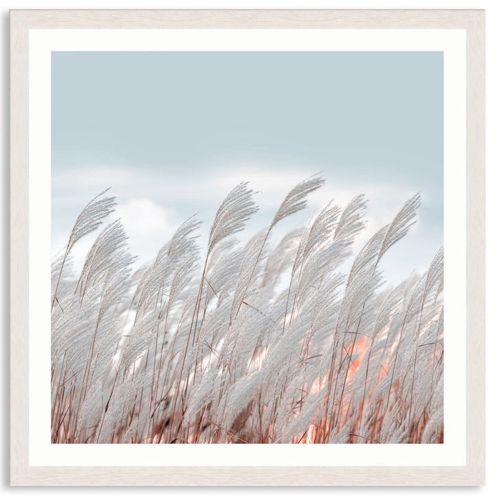 SILVER GRASS II - Framed Print