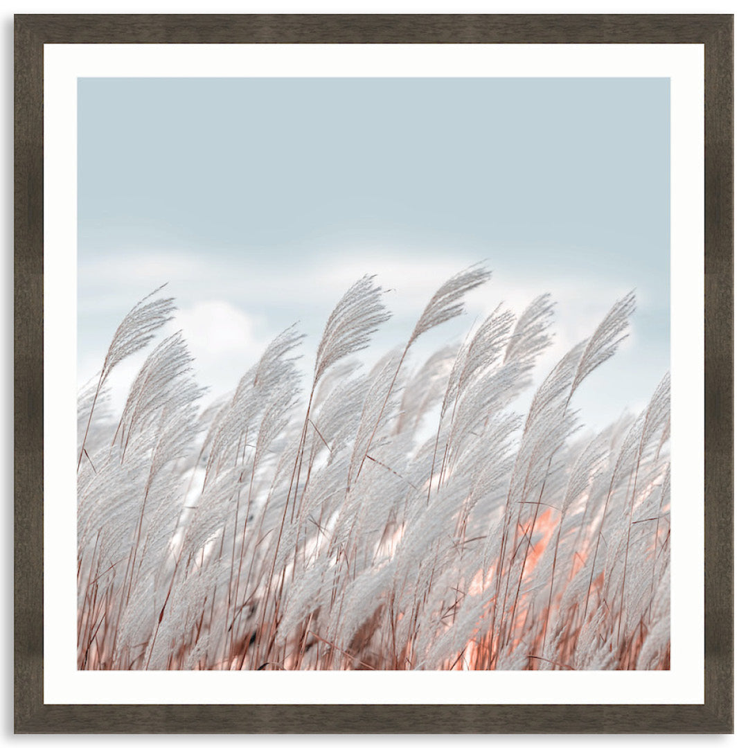 SILVER GRASS II - Framed Print