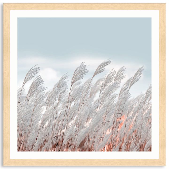 SILVER GRASS II - Framed Print