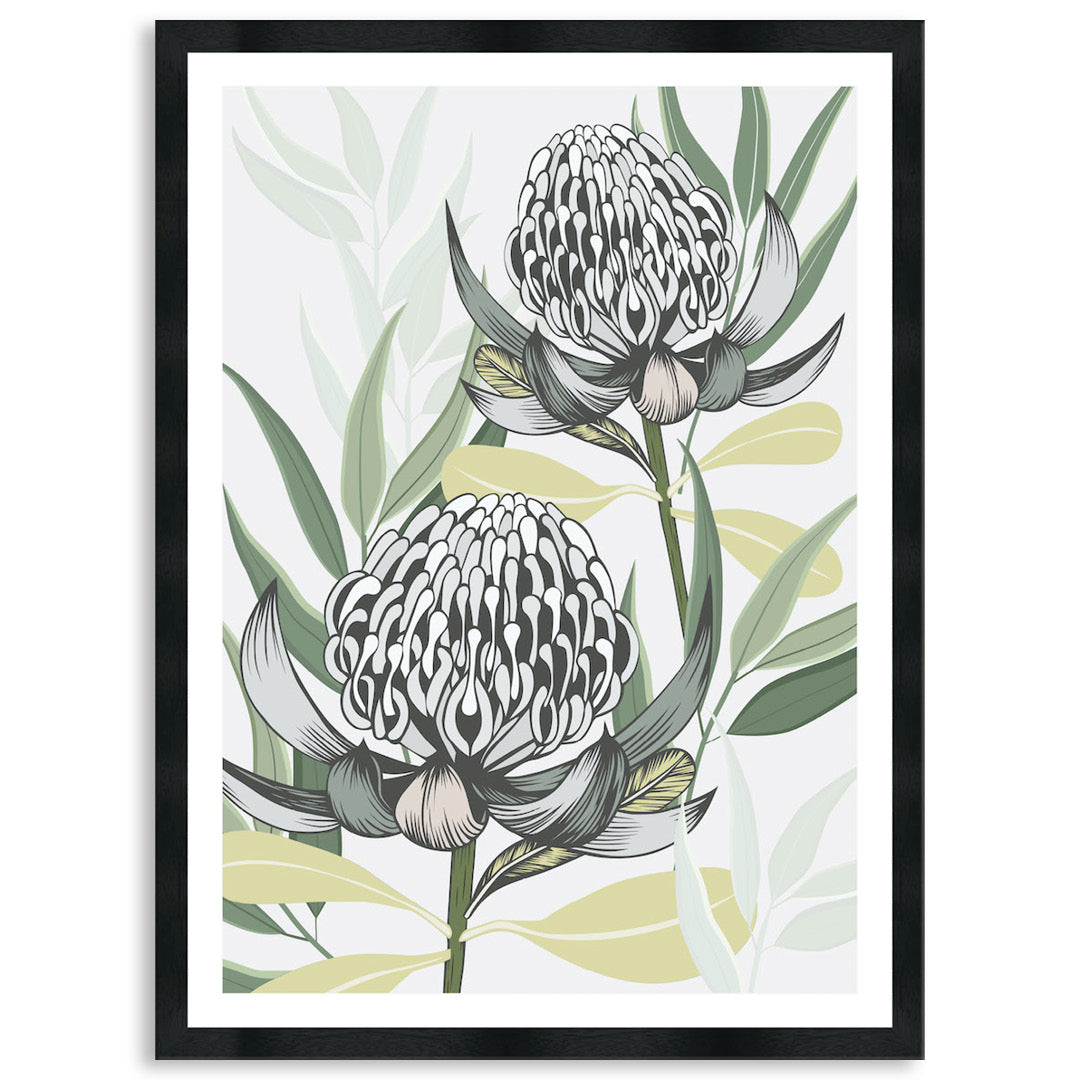 WHITE WARATAH I - Framed Print