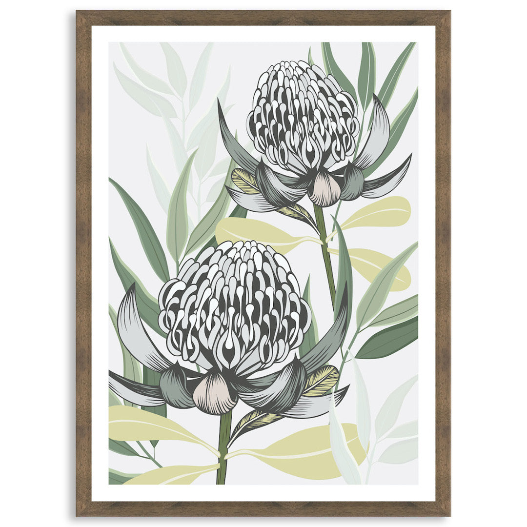 WHITE WARATAH I - Framed Print