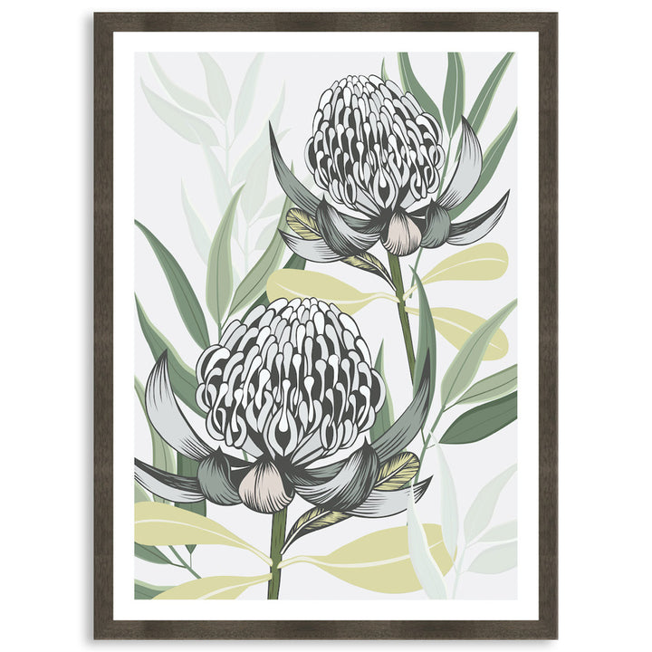 WHITE WARATAH I - Framed Print