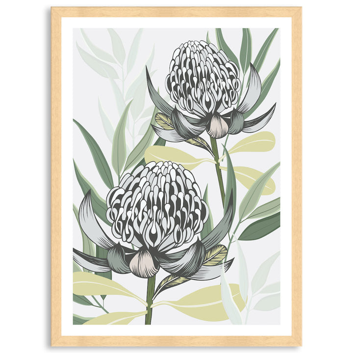 WHITE WARATAH I - Framed Print