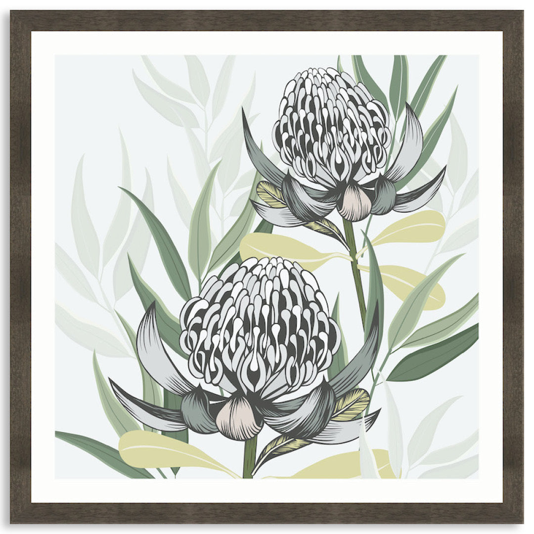 WHITE WARATAH II - Framed Print