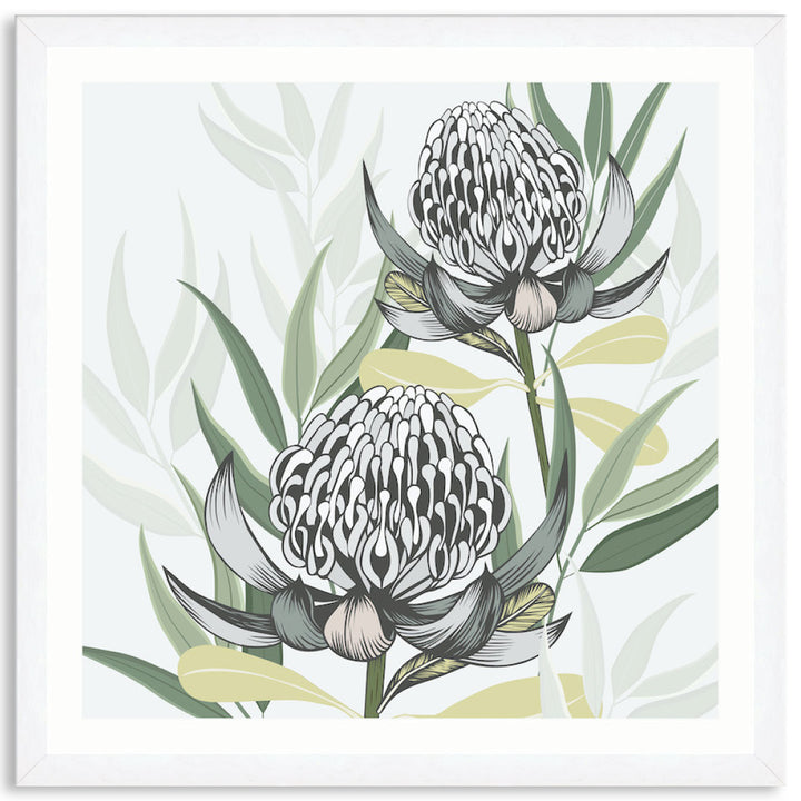 WHITE WARATAH II - Framed Print