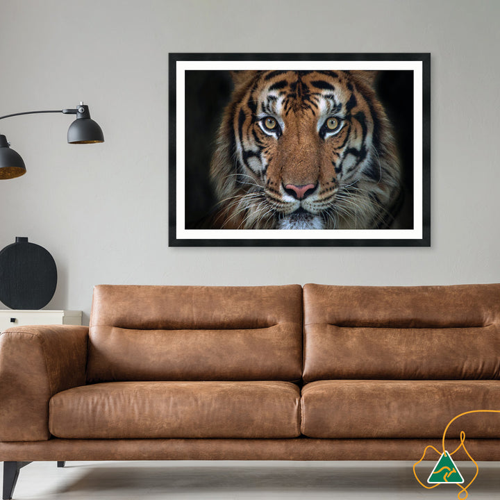 BENGAL TIGER I - Framed Print