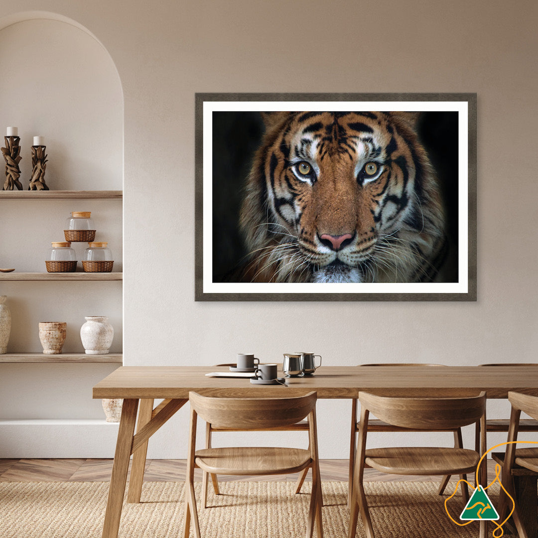 BENGAL TIGER I - Framed Print