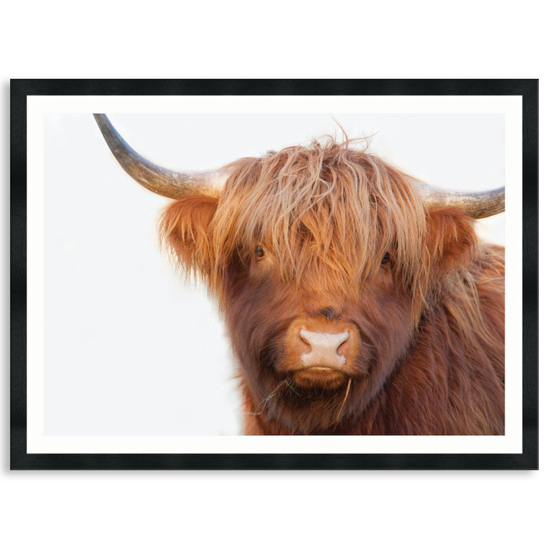 HAMISH I - Framed Print