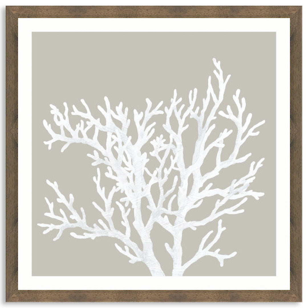 CORAL FOCUS V - Framed Print