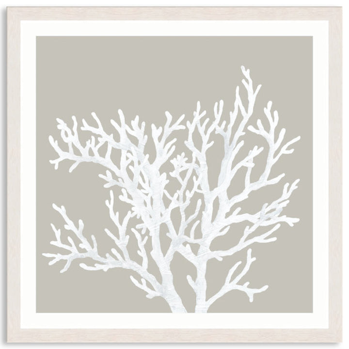 CORAL FOCUS V - Framed Print