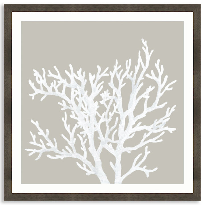 CORAL FOCUS V - Framed Print