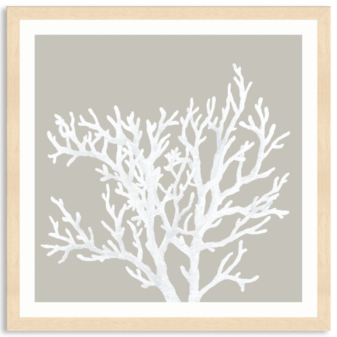 CORAL FOCUS V - Framed Print