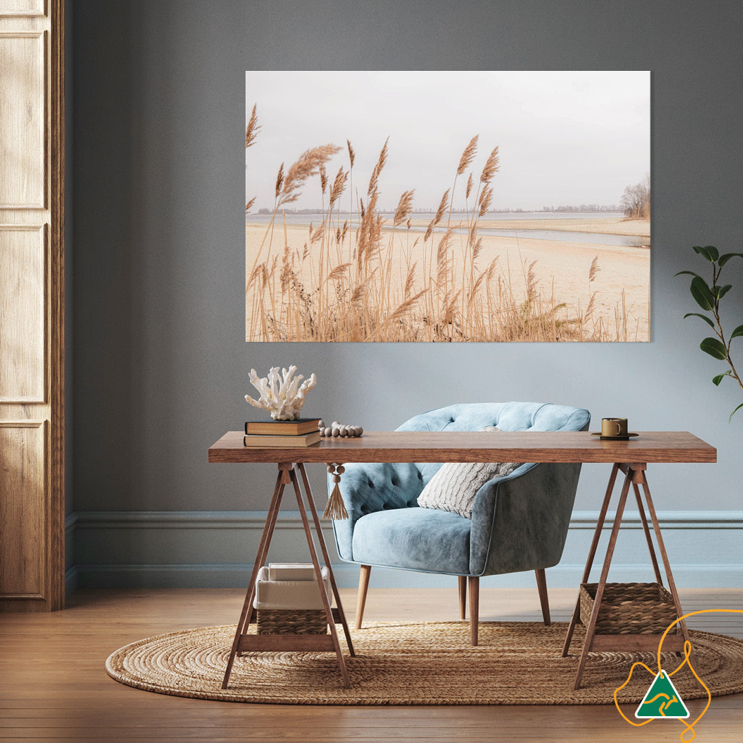 PAMPAS GRASS I - Canvas Print