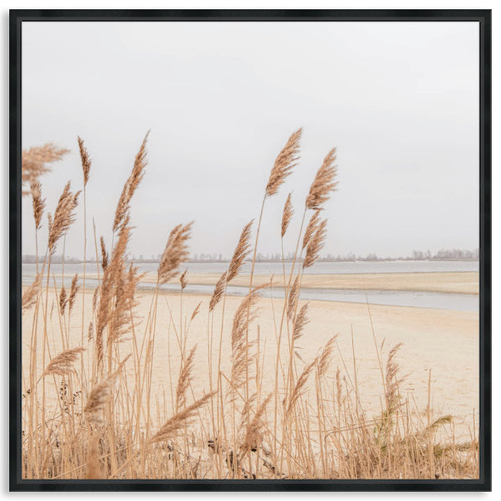 PAMPAS GRASS II - Framed Canvas